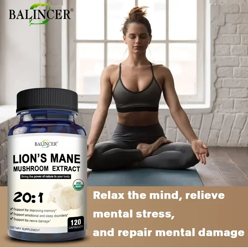 Organic Lion's Mane Capsules - Brain Mushroom Supplement for Focus and Immune Support, Brain Health Memory and Energy