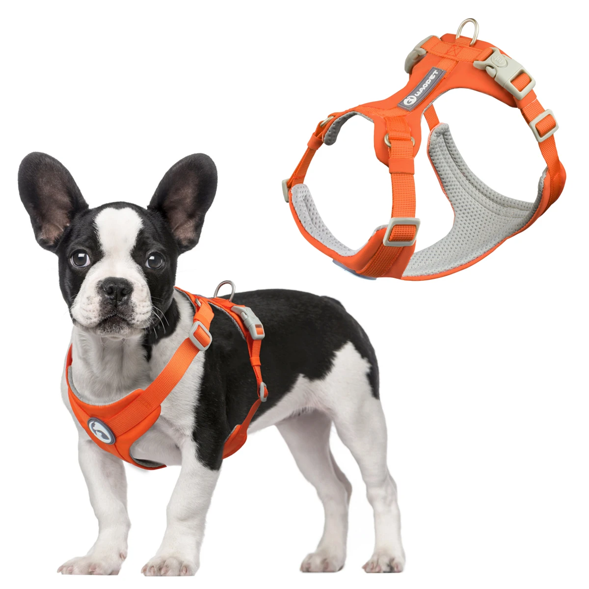 Sicherheits-Hundegeschirre, modischer Haustiersattel, kein Ziehen, verstellbare Weste, zum Gehen, Training für kleine, mittelgroße und große Hunde – Detail 3