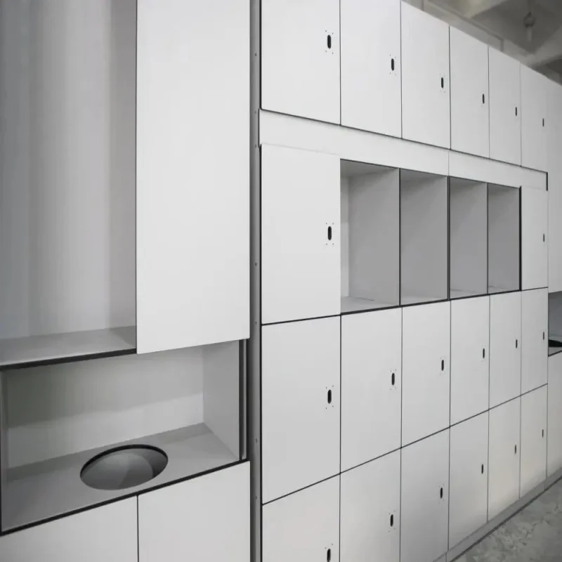 custom.DEBO Modern HPL Compact Laminate Fiberboard Gym Locker Waterproof Durable