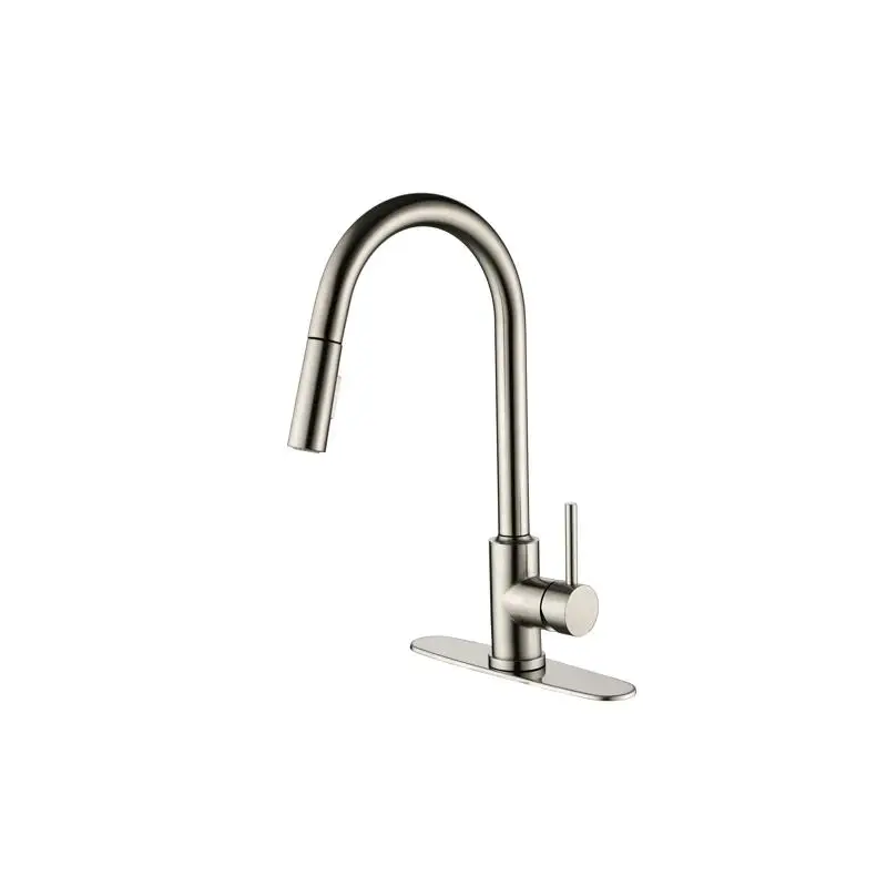

Single Handle High Arc Pull-Out Kitchen Faucet, Stainless Steel Sink Tap with Pull-Down Sprayer, Modern Design for Home Use