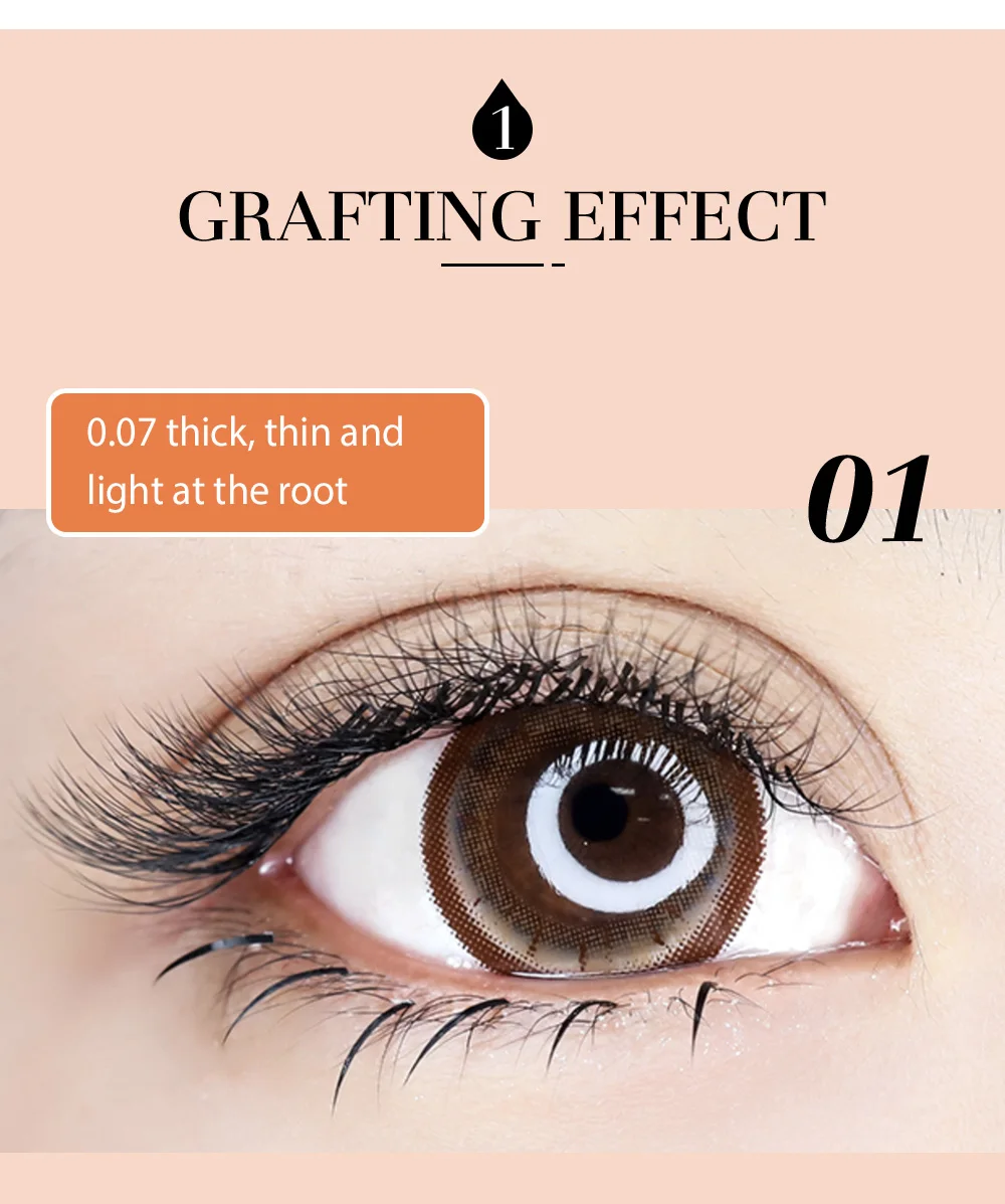DeceMars 6D-W Shaped Eyelash Extension (12line/Tray)