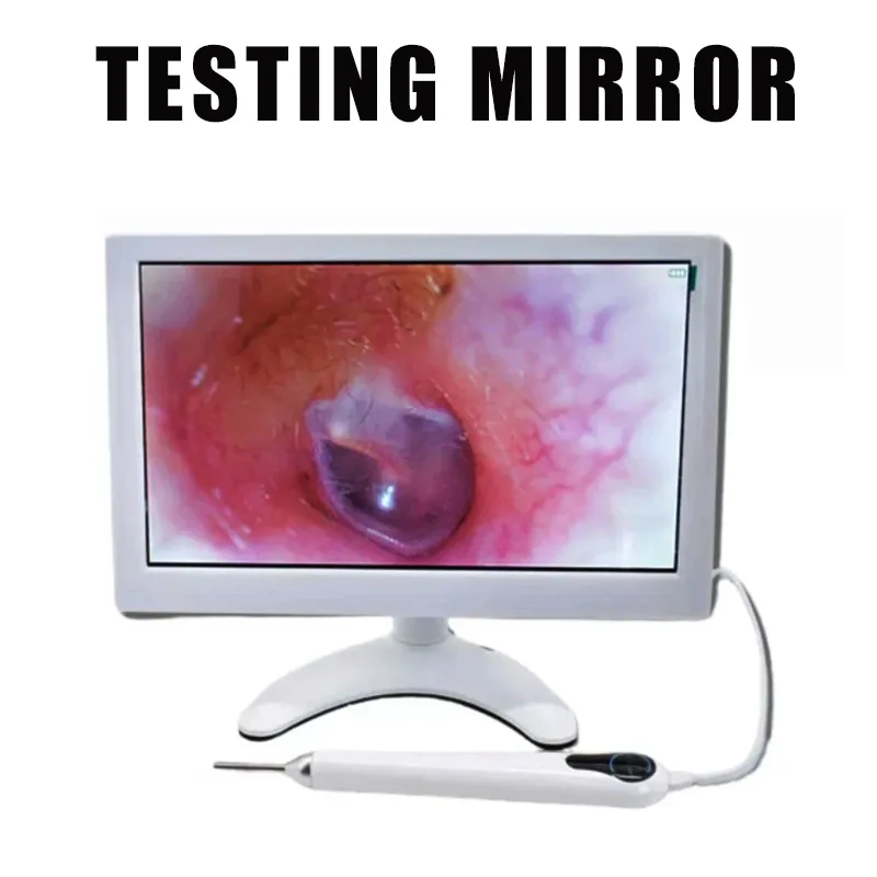 

Ear inspection scope 3.2mm diameter 10 inch display, visual ear collection training tool, wired ear scope with built-in bracket
