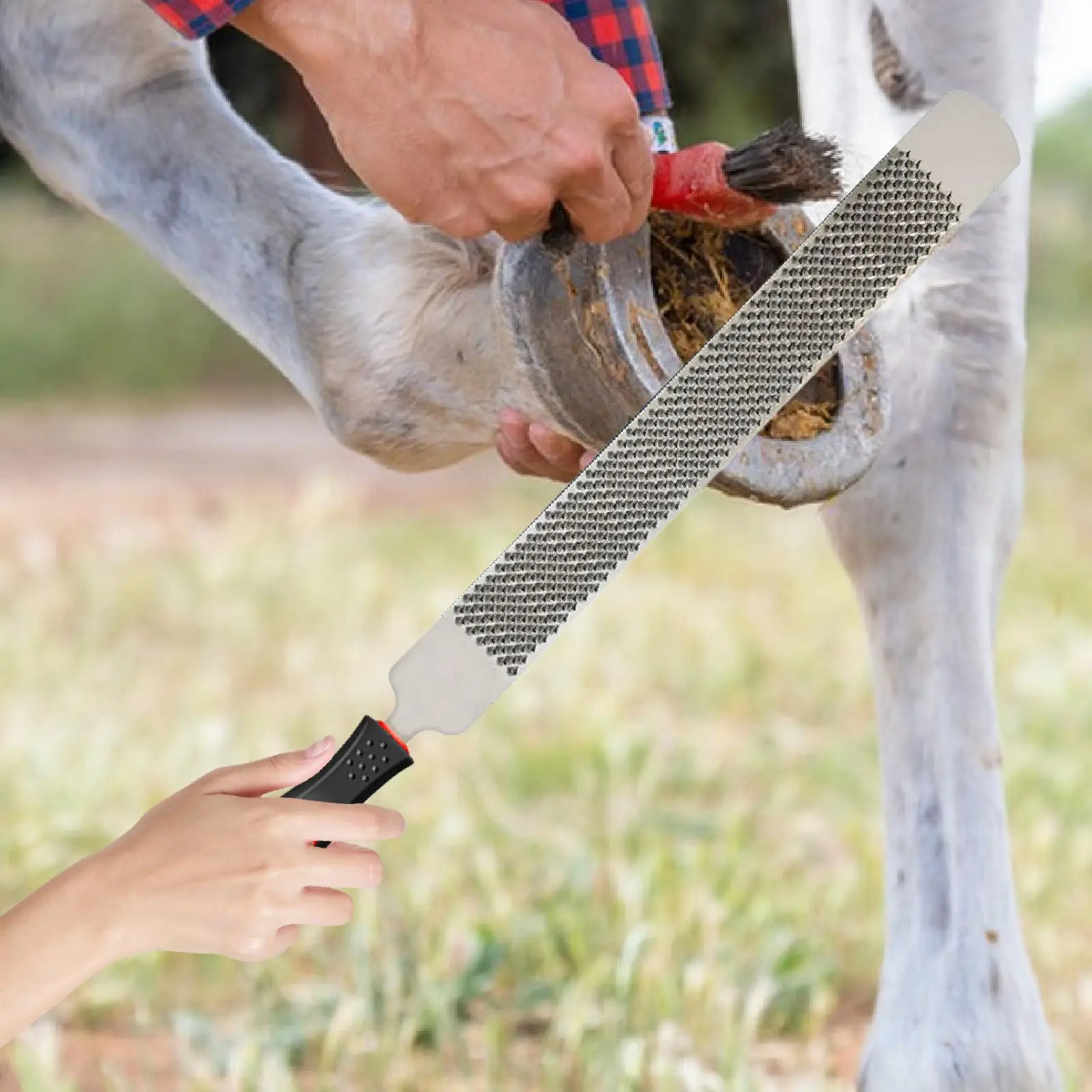Raspador de pezuña de caballo con mango, herramienta de recorte de lima de herradura, Farrier de doble cara para reparar pezuñas, burro, cabras, aseo de vaca