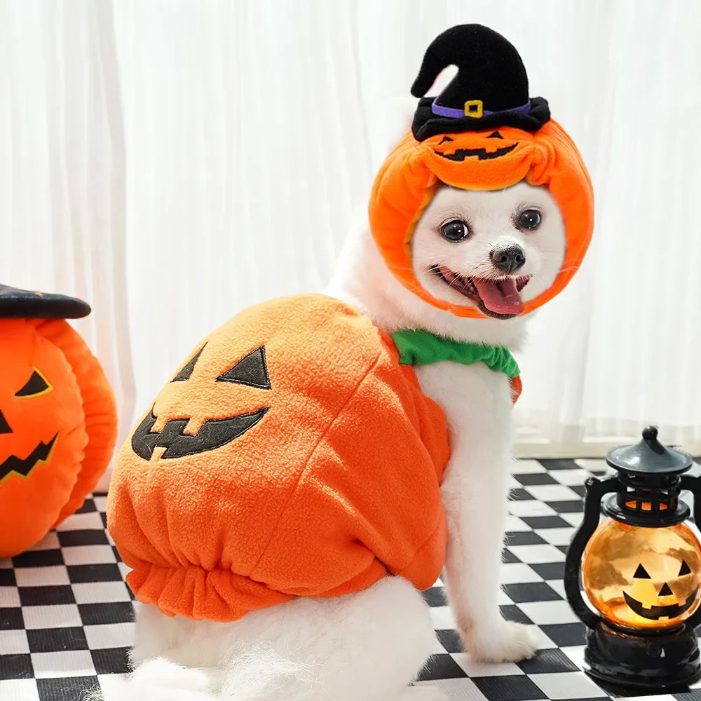 Halloween and Christmas Costume for Dog, Pumpkin Lantern Transformation, Funny Cat, Two-legged Pet, Teddy