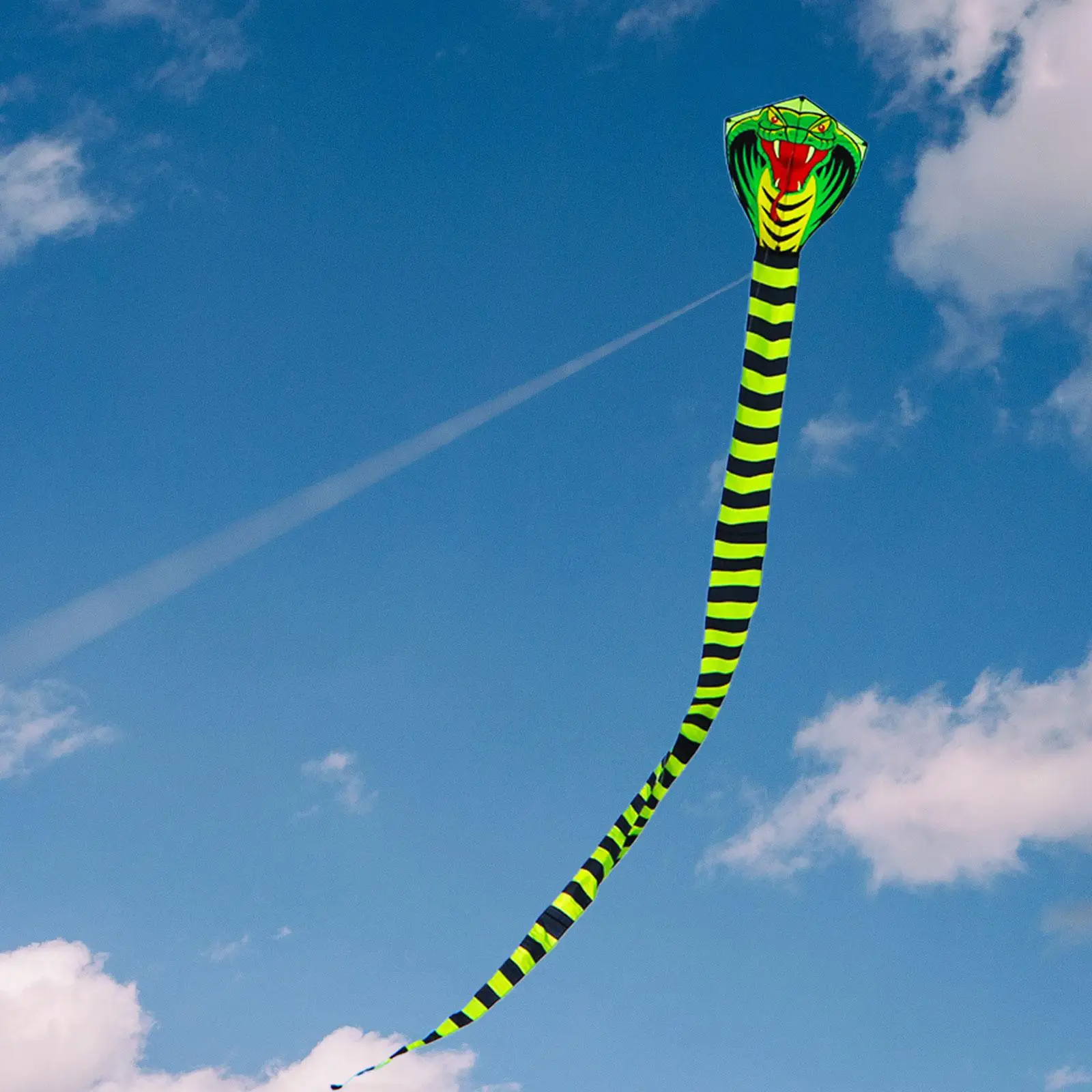 Snake Kite Outdoor Toy with Long Tail for Beginners Sports Kite Snake Kite for Lawn Trips Farm Outdoor Game