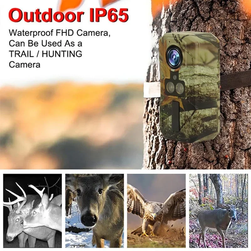

Animal monitoring Motion detection Outdoor waterproof high definition camera