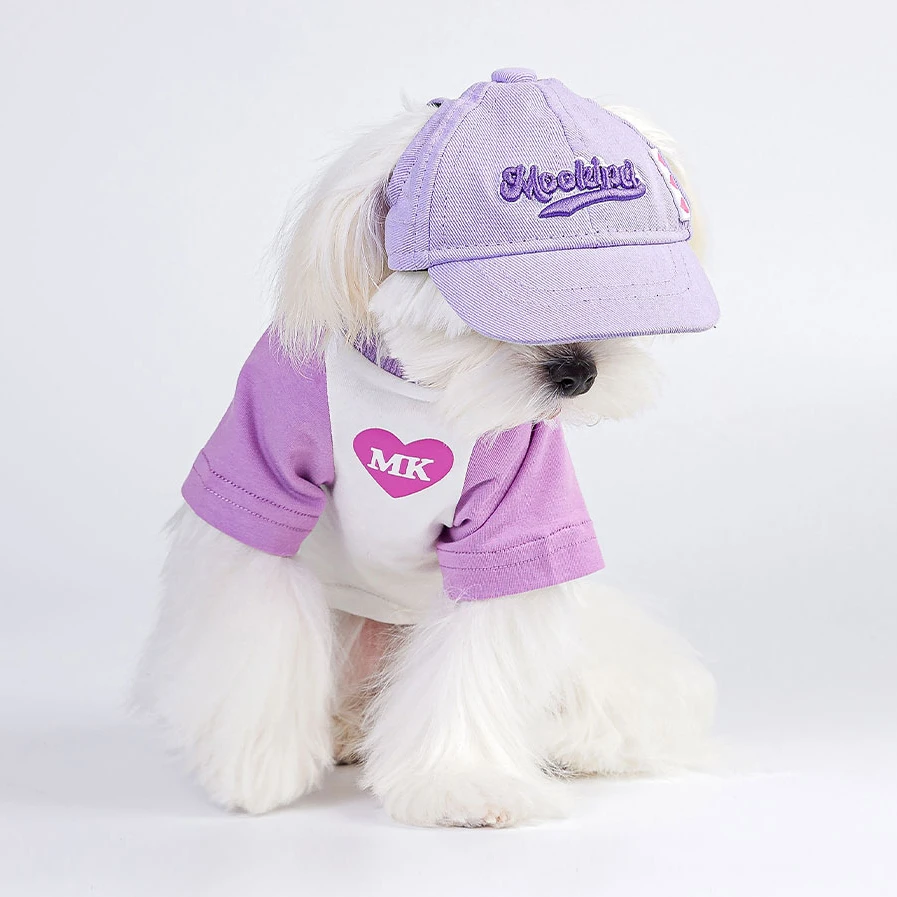 Pet Dog Hat Small Teddy Cat Shade Ears Corgi
