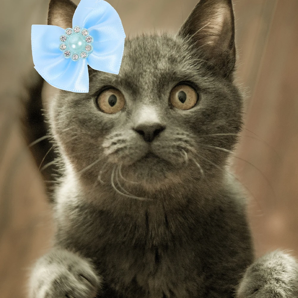 

30Pcs Pet Bow Hair Ties Elastic Bands Small Dog Puppy Bowknot Grooming Accessories Valentine Party Hair Decorations