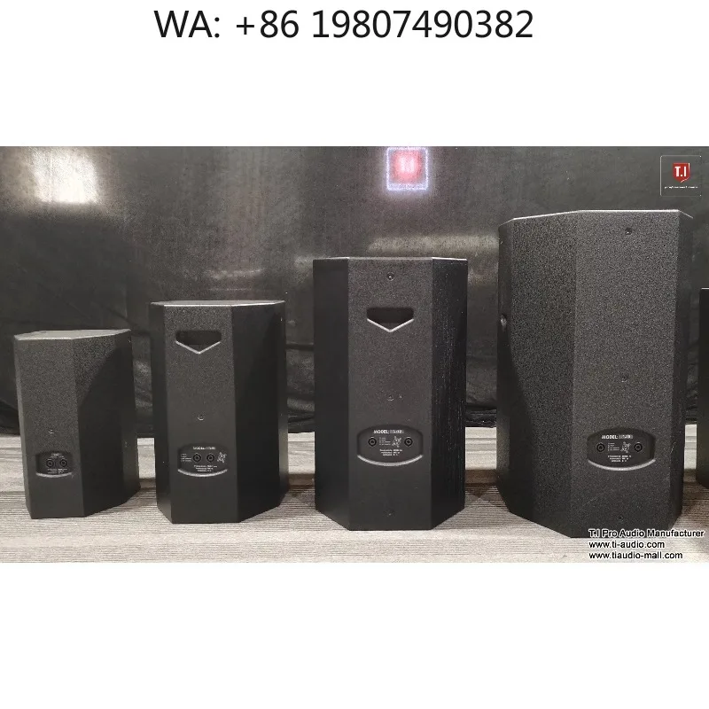 

10 Inch Professional PA Speaker Box, High Fidelity Audio Equipment for Outdoor Concerts, Stage Video and Live Sound Use