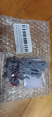 Buyer photo of this resin kit