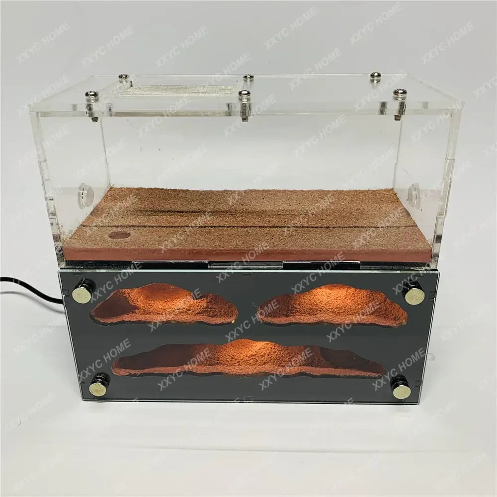 

Ant Castle Pet Farm Workshop Is Easy to Observe and Can Reproduce with High Appearance and Large Capacity