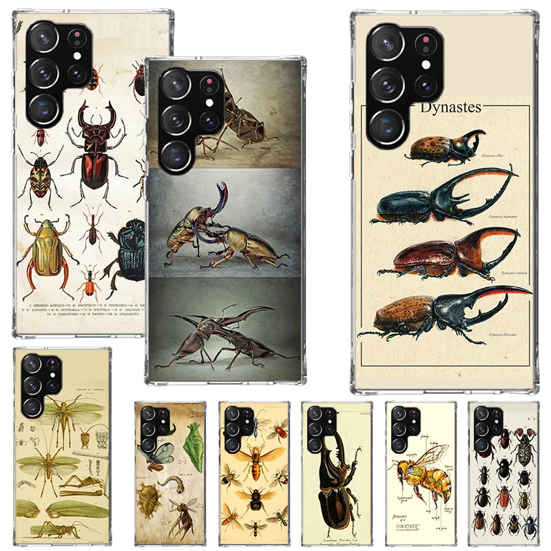 Bugs Bees Scientific Decomposition Print Soft Case for Samsung Galaxy S25 S24 S23 S22 Ultra S21 Plus S20 FE Phone Shell S10 + Pa