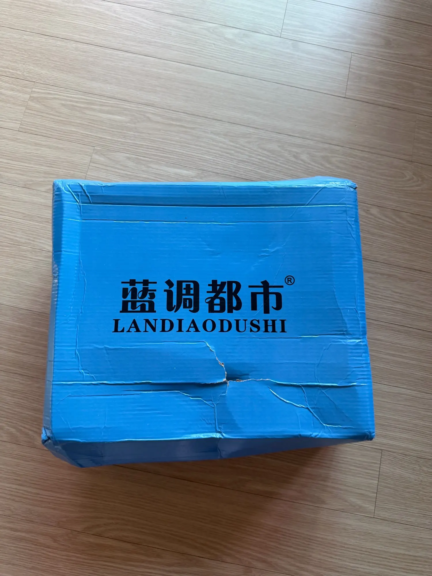 실물 포토 리뷰