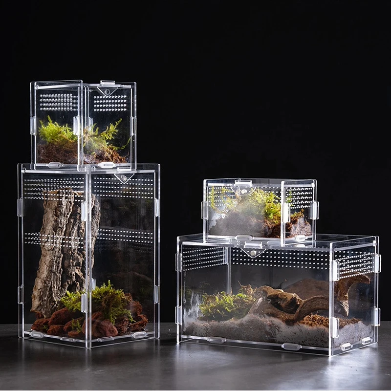 Acrylic Transparent Storage Box Turtle Cage Nano Arboreal Tarantula Enclosure Dearded Dragon Reptiles Habitat