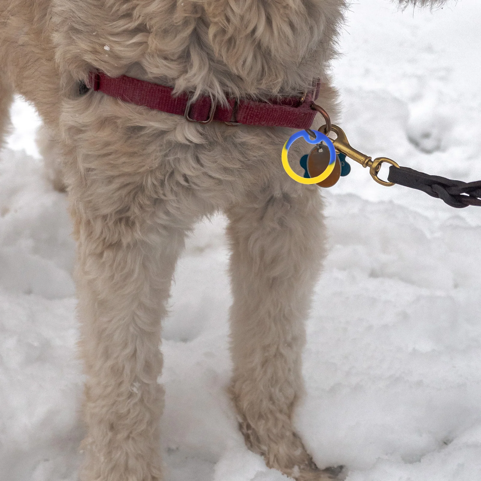 

12Pcs Pet Name Tag Noise Reduction Rings Dog Tag Mute Hoops Durable Silencers for Pet Id Tags Essential Accessories