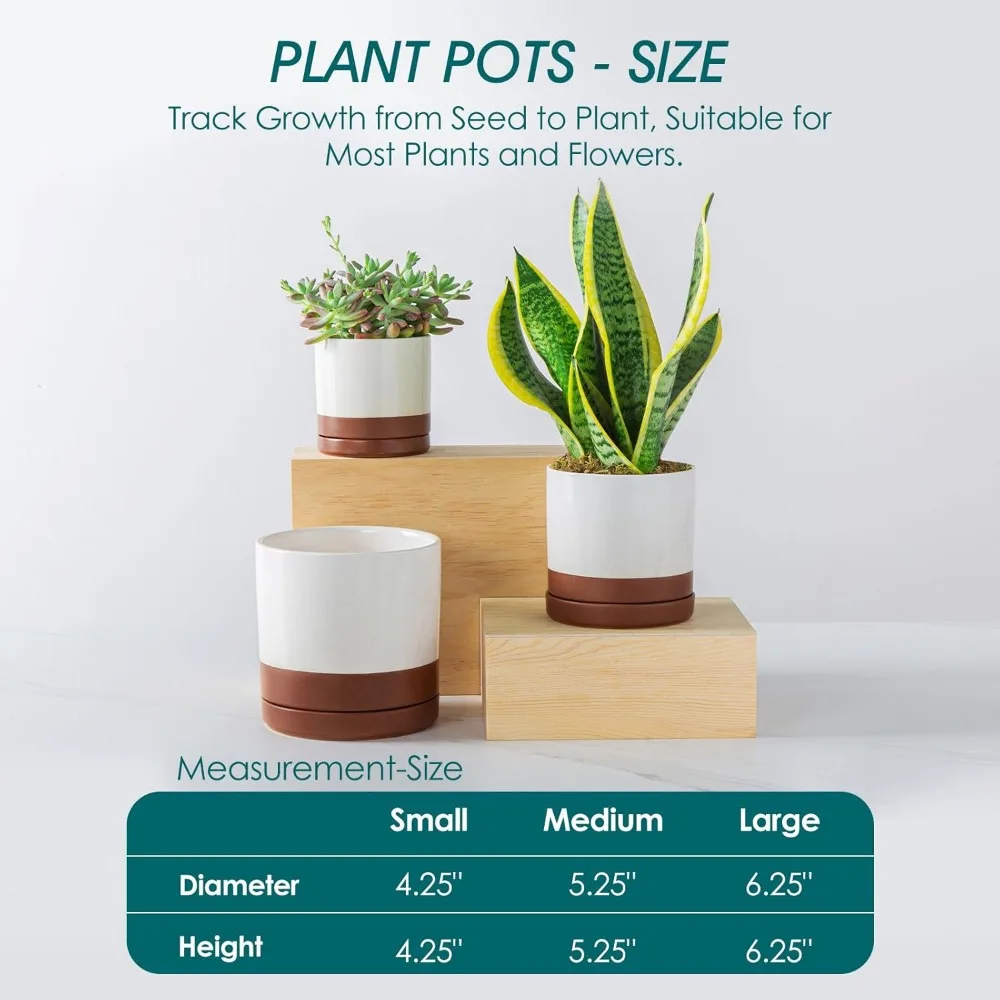 

3-Piece Ceramic Plant Pots with Drainage, Indoor Flower Planters for Succulents, Pothos, Snake Plants - Modern Home Decor