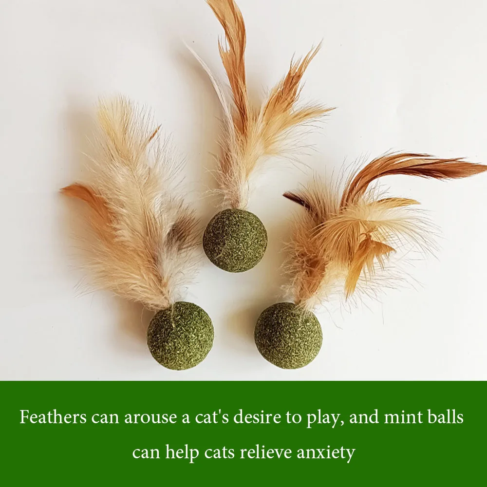 Cat Mint Ball Feather Catnip Ball Self Cleaning Teeth Grinding Ball Feather Toy Ball Pet Toys Cat Supplies Pet Cleaning Tool view 6