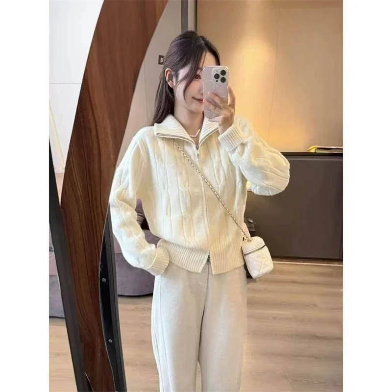 Moda coreana, suéter corto con doble cremallera y cuello alto, cárdigan para mujer, Otoño Invierno, nuevo abrigo de punto, chaqueta para mujer