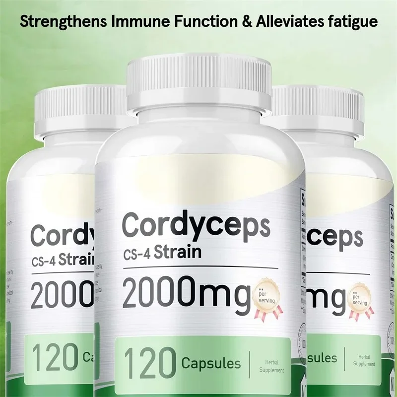 Cordyceps Capsules -  Brain Supplement for Memory and Focus, Helps with Energy, Natural Endurance, Helps Immune