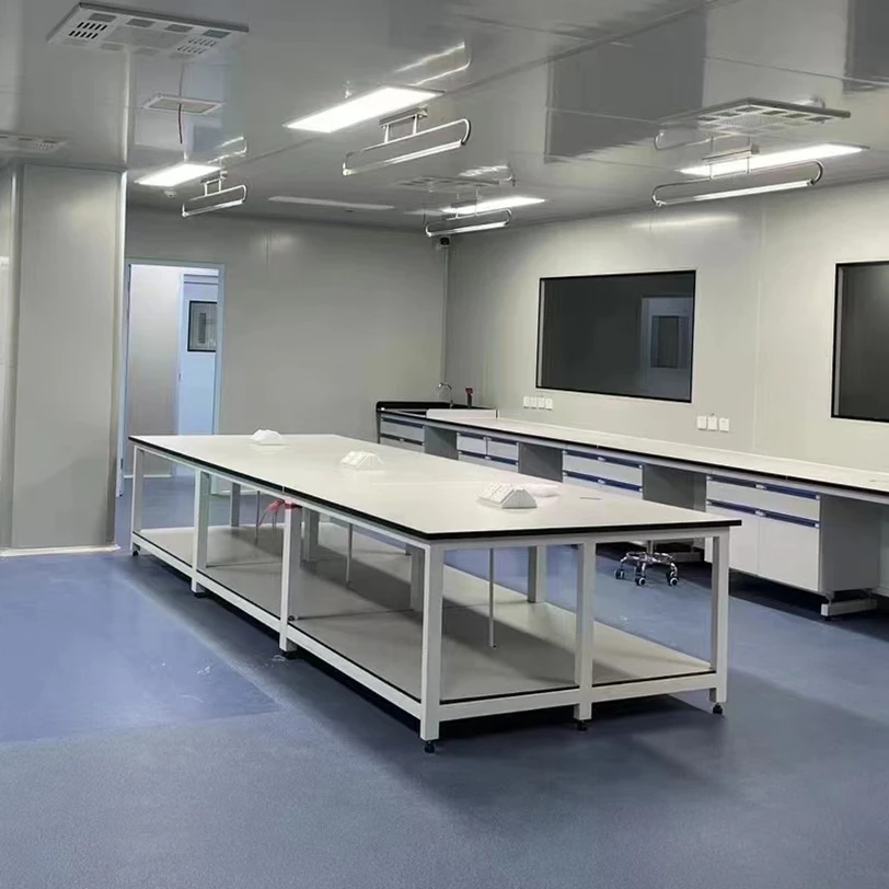 High Quality Simple Steel Frame Lab Bench With Acid And Alkali Resistant Modern Design For Schools Hospitals