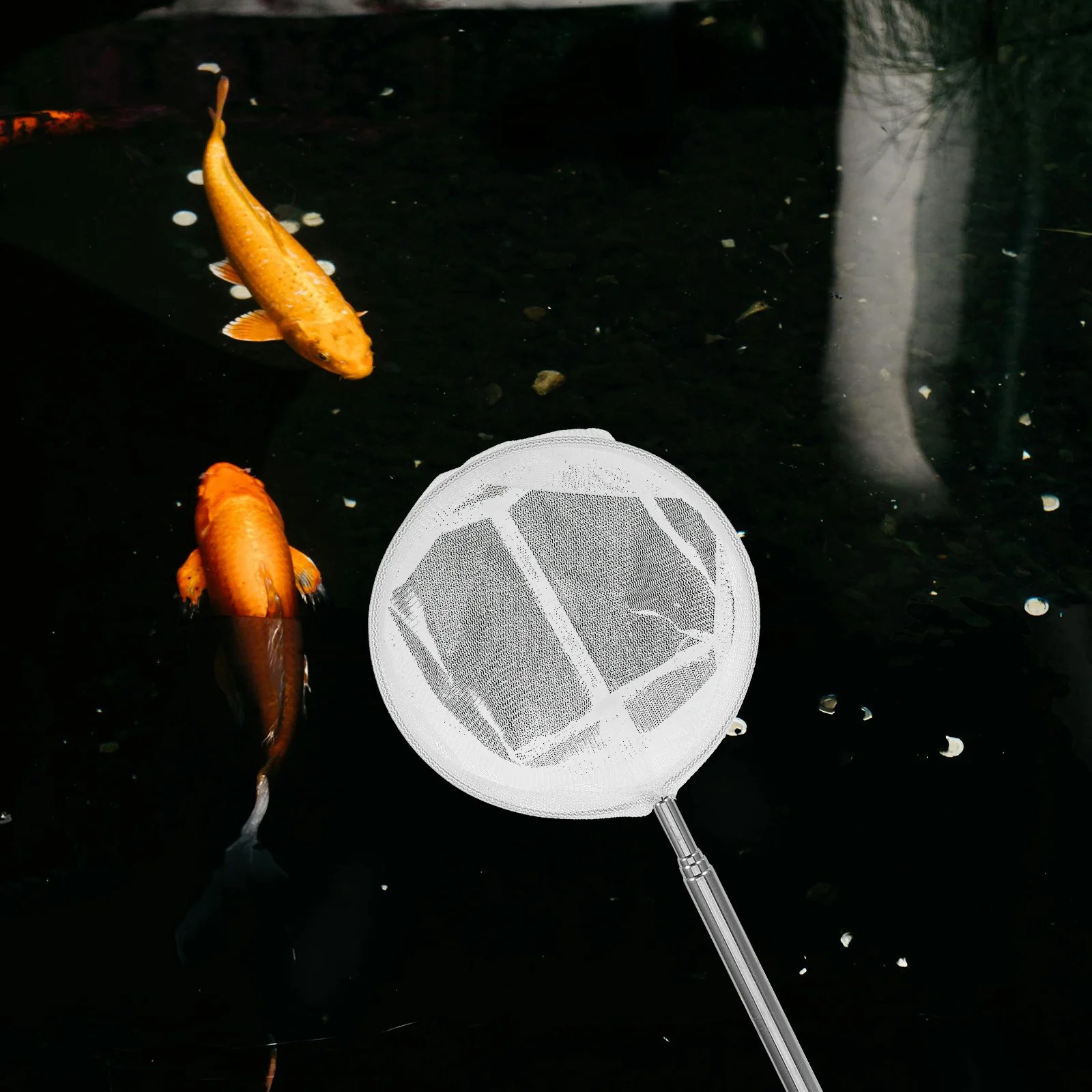 2 قطعة شبكة صيد تلسكوبية من الفولاذ المقاوم للصدأ قابلة للتمديد شبكة دقيقة لبركة حوض السمك المحمولة صيد الأسماك قابل للسحب باليد