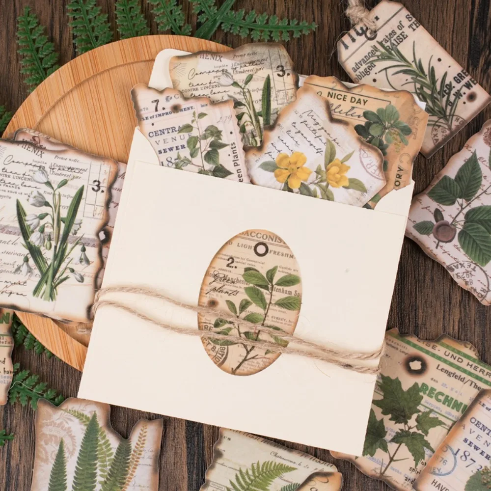 Mr. Paper Vintage Plant Box Stickers Artistic Style Special-shaped Sealing Stickers Handbook Materials Stationery 40pcs/box