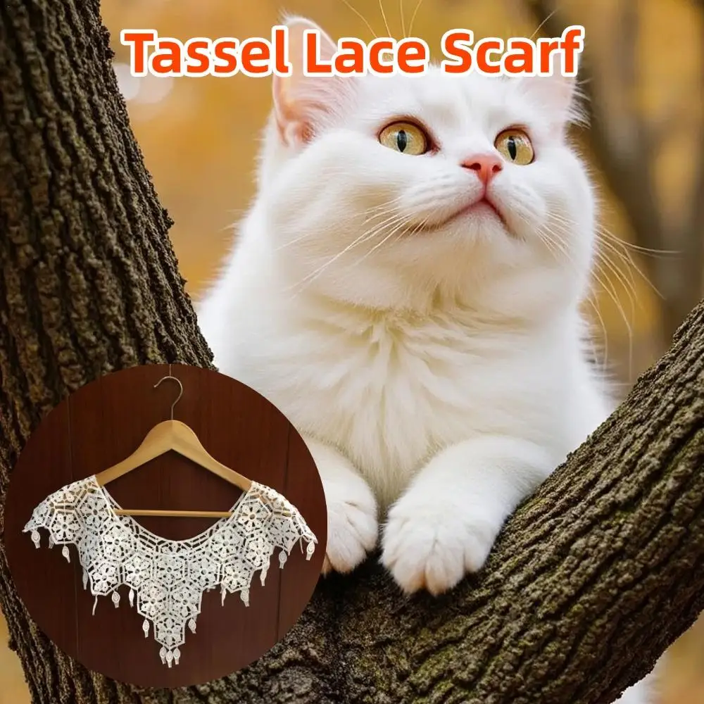 

New Fashion Tassel Lace Scarf Women Fashion Hollow Out Hijab Scarf Spring Summer Elegant Ladies Shawl Poncho Foulard Femme