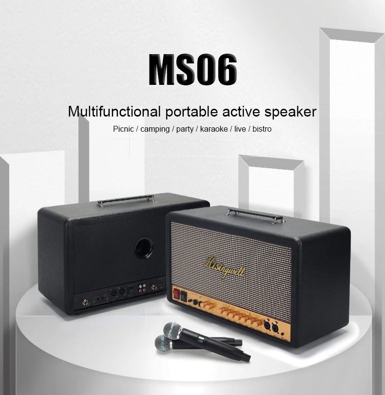 TLF Xtuga MS06 o Systeem Karaoke Machine Versterker Actieve Party Draagbare Luidspreker