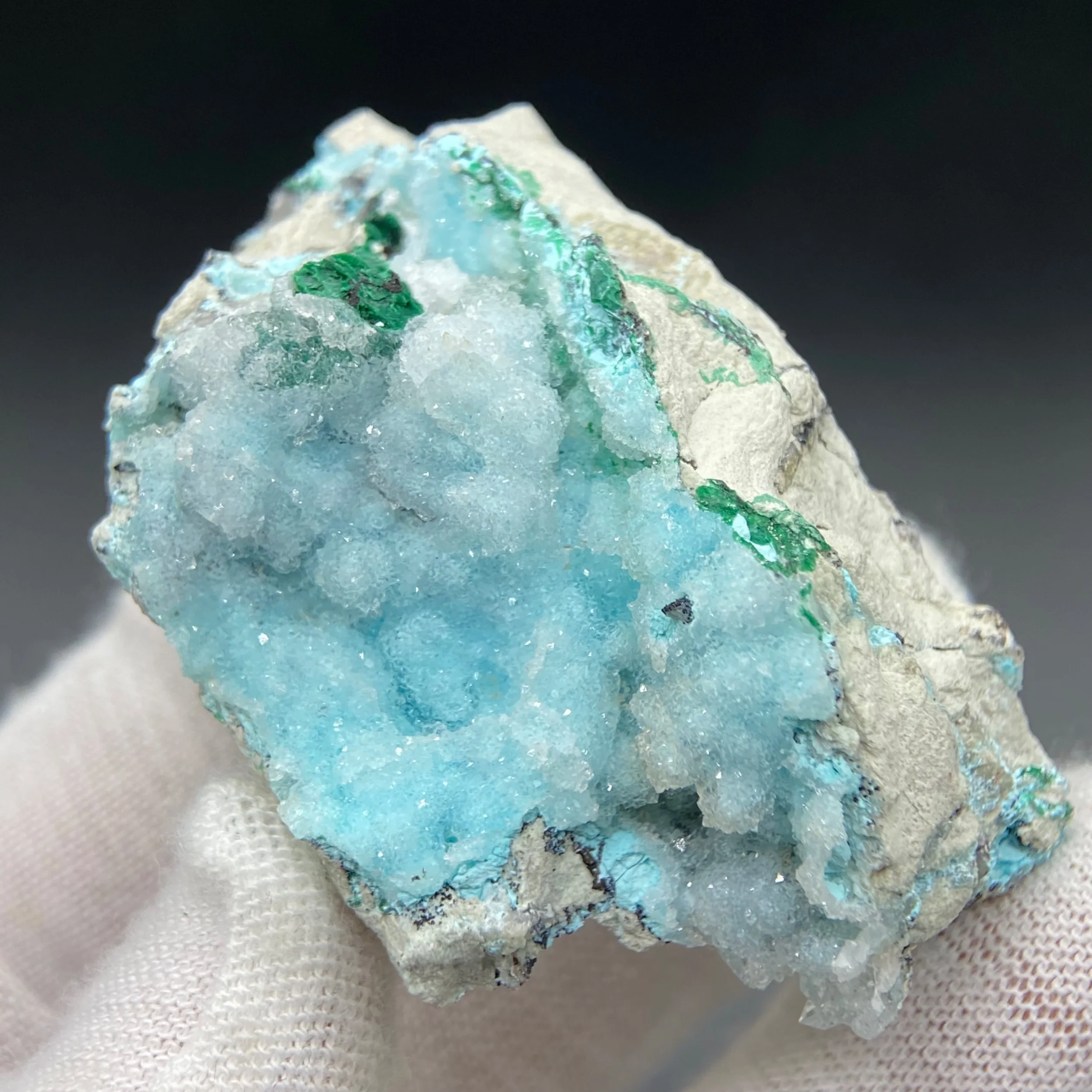 Zambia Shiny Silico… - image