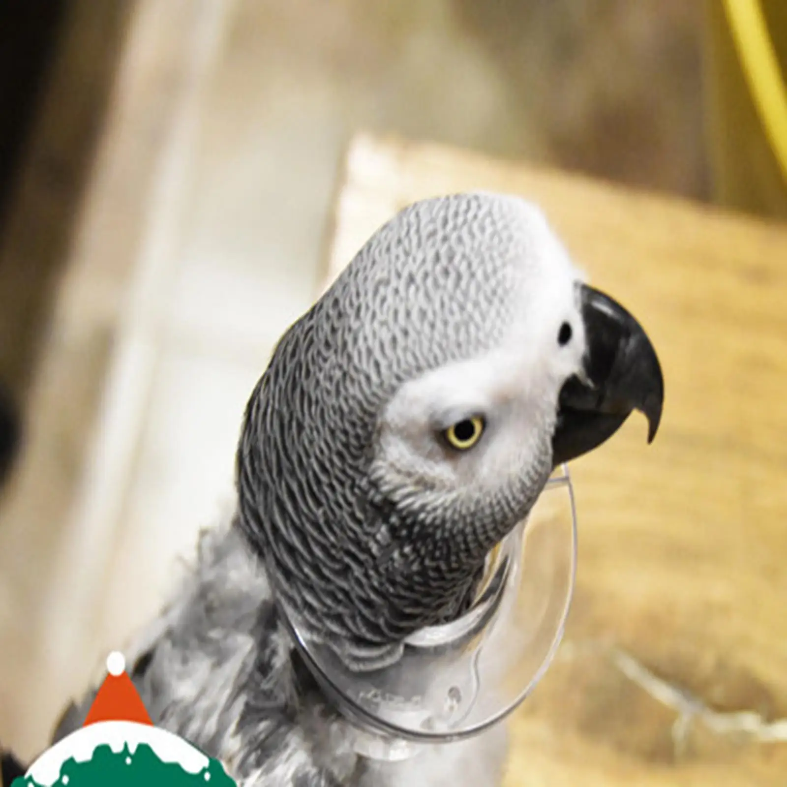 

Parrot Collar Anti Plucking Bird Collar for Wound Rodents Parakeet