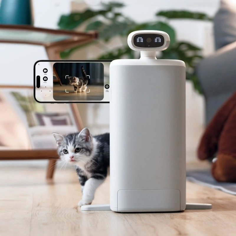 

Automatic feeder, cat regular quantitative intelligent remote monitoring