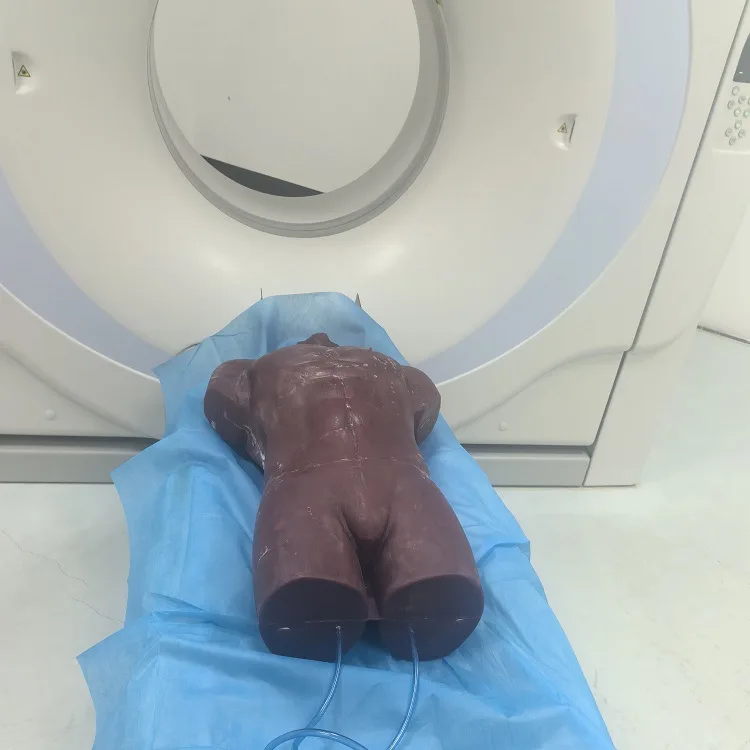 Model somatik pelatihan USG