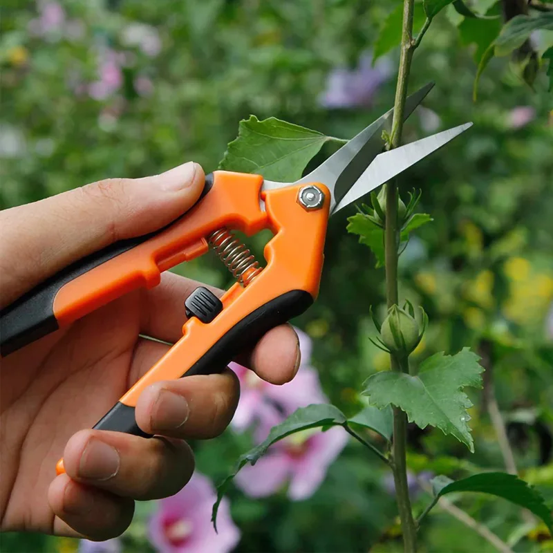 Garden Tools Secateurs Bonsai Shears Metal Gardening Scissor Pruning Tool Fruit Picking Weed Potted Branch Pruning Household