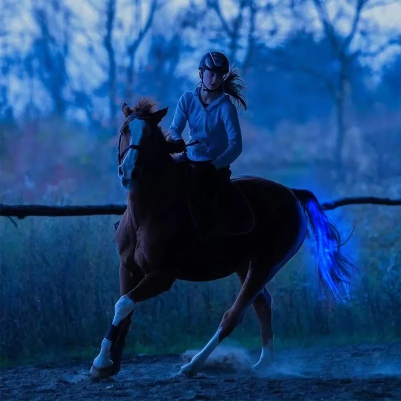 High-brightness LED ponytail lights for equestrian use