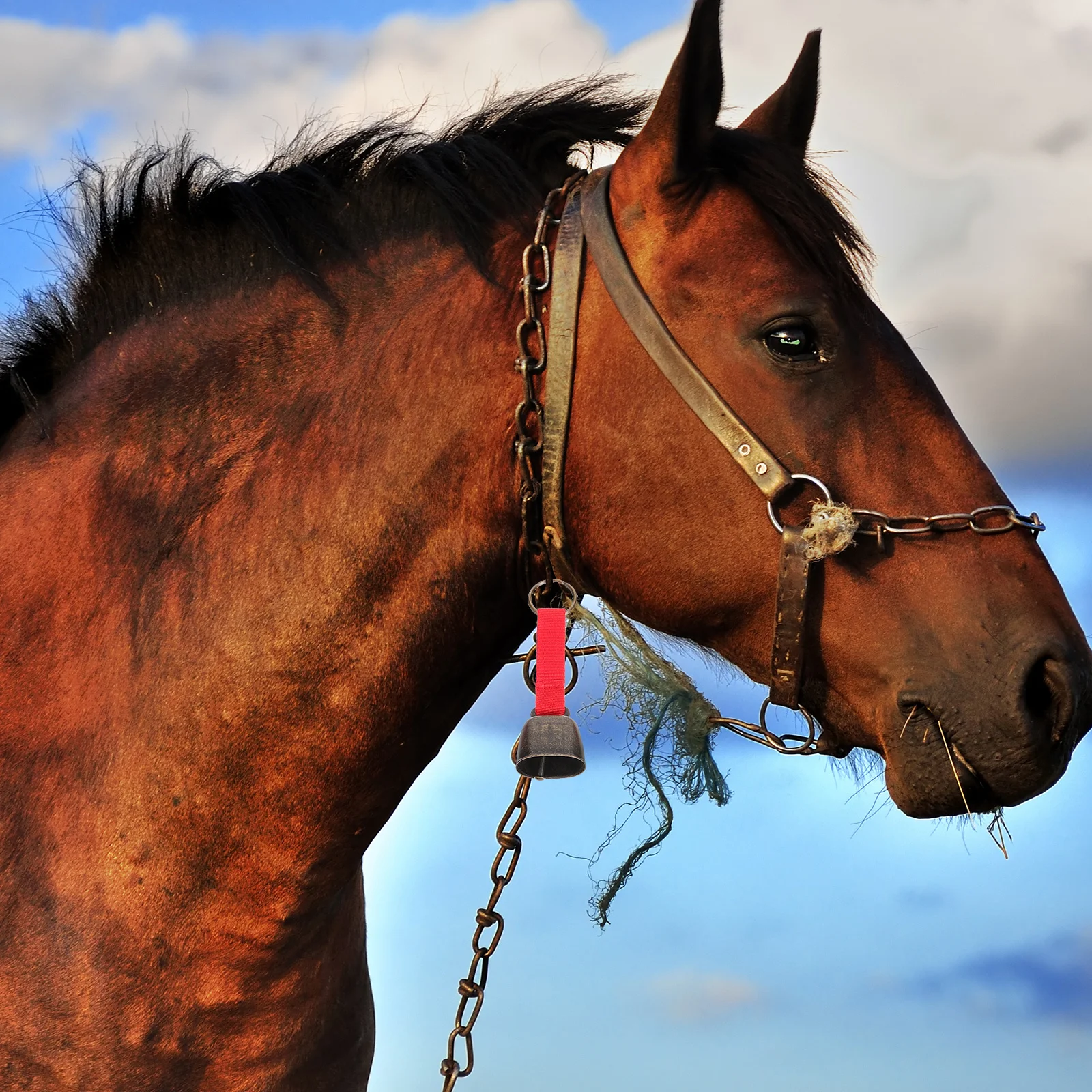 

5Pcs Bell Loud Crisp Sound Vintage Hiking Bell for Camping Outdoor Warning Anti-Lost Cow Dog Bells Cow Bells