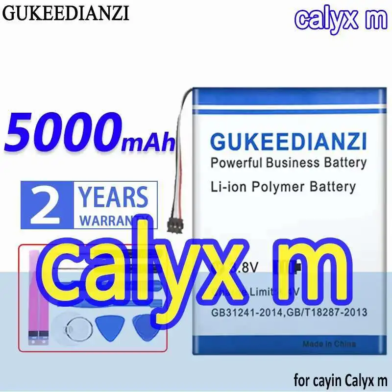 

5000mAh Lightweight Portable Audio Player Battery Reliable Replacement For Cayin Calyx m