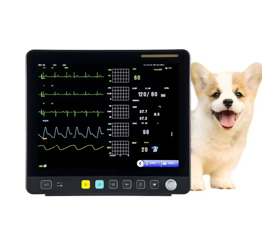 VE15 High Quality Cheap Price Pet Portable Veterinary Multiparameter Vi tal Si gns Cardiac Monitor with 15 Inch Tft Lcd Screen