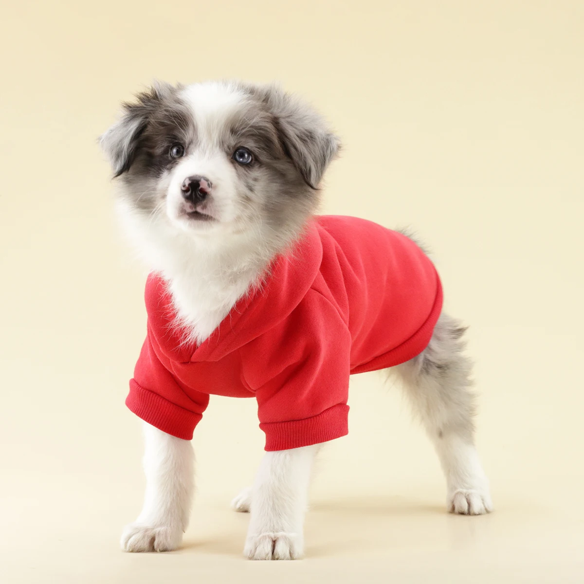 PAIAITE Chihuahua Yorkshire Dog Hoodie Winter Small Dog Sweatshirt Warm Pet Clothes for Puppy Dog