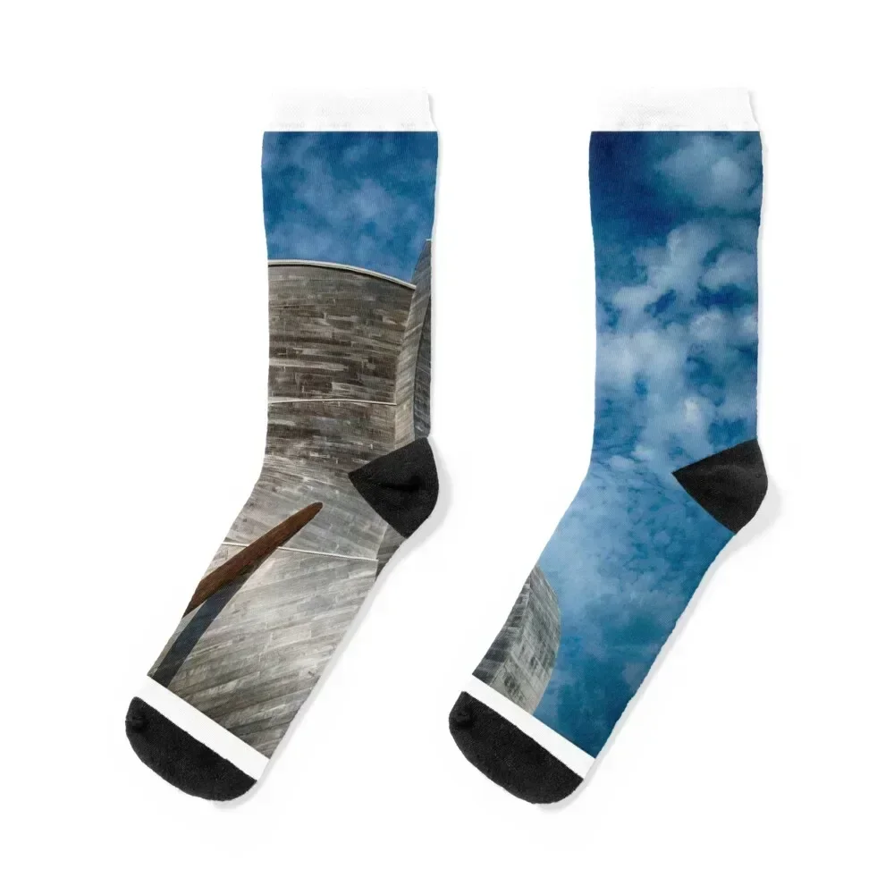 

The Ark Socks Argentina Stockings halloween winter thermal Boy Socks Women's