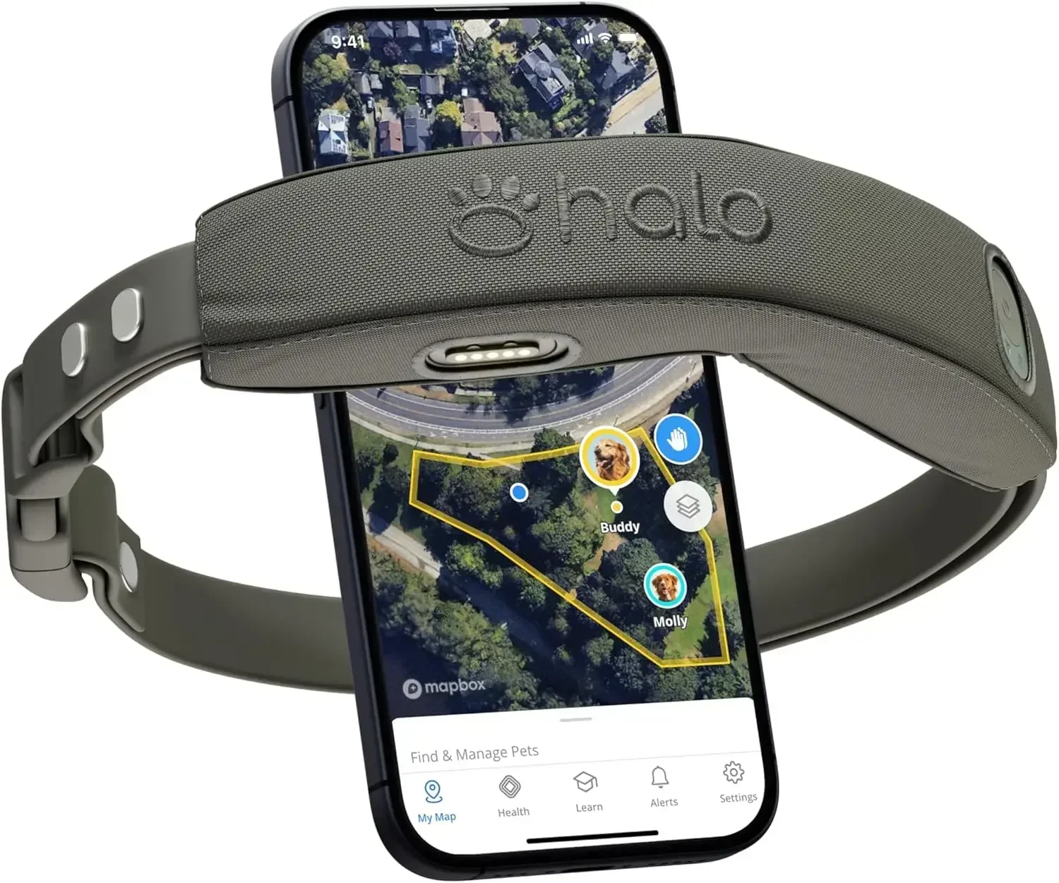 Graphite Dog Collar with App Controlled Boundaries and Tracking