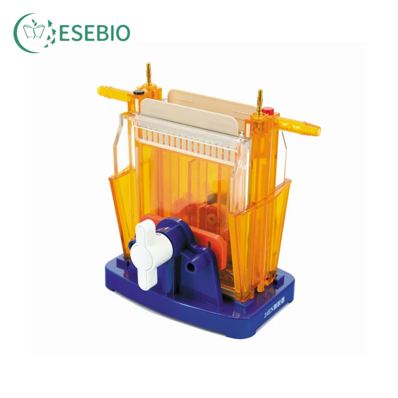 Cellule de MüntrophorOutre pour PCR, 10000 Pièces