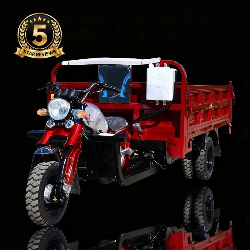 Electric Tricycle China Trike Motorcycle 3wheel Scooter for Adult