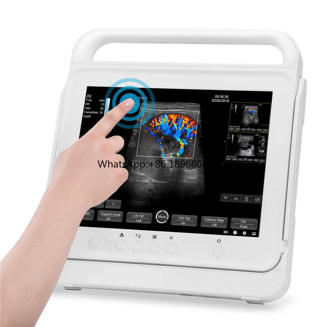 Animal Hospital Portable Color Doppler Ecograph Best Price Veterinary Handheld Ultrasound System