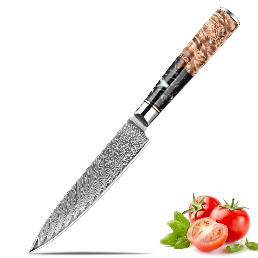 Professionelles Kochmesser, 5-Zoll-Allzweckmesser, Obstmesser, hochwertiges Schälmesser aus 67-lagigem Damaststahl, schwarzer Harzgriff