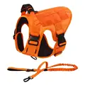 Orange Harness Leash