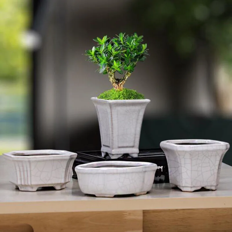 

Simplicity White Porcelain Asparagus Fern Plant Pot Fleshy Flowerpot Bonsai Vase Handmade Crafts Gardening Art Home Decor