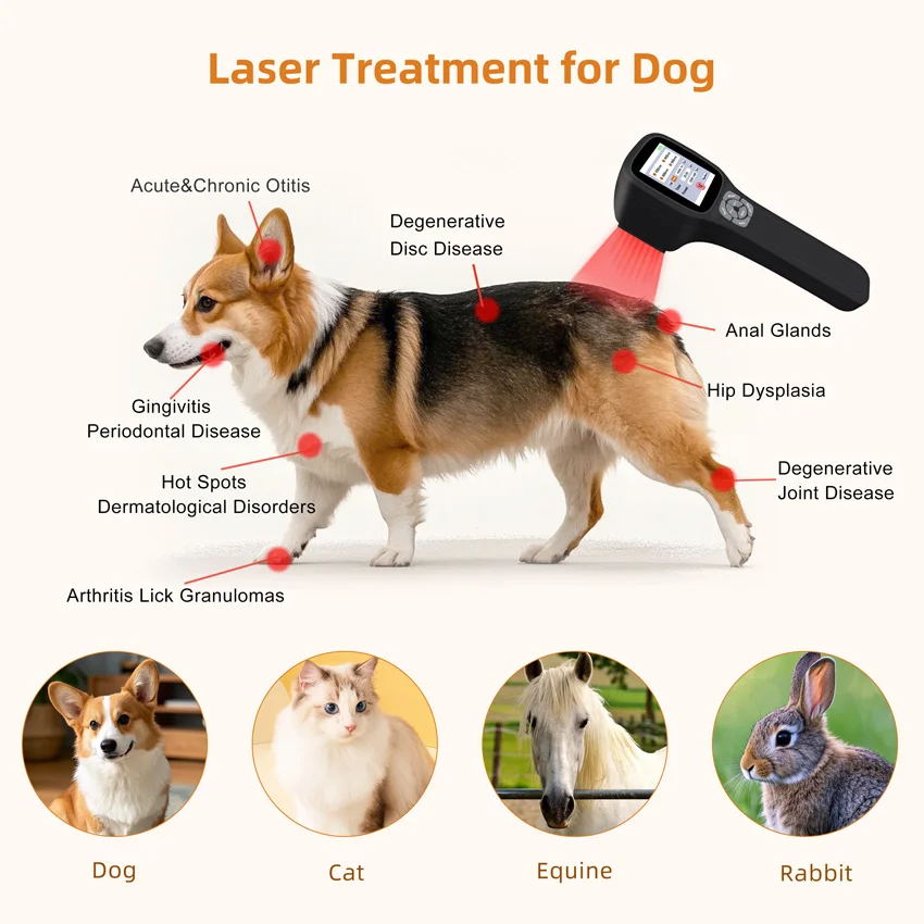 0-2500MW Terapi Cahaya Inframerah Dekat Empat Gelombang untuk Hewan Peliharaan Manusia Perawatan Laser Dingin Penghilang Rasa Sakit untuk Penyembuhan Luka dengan Layar Sentuh