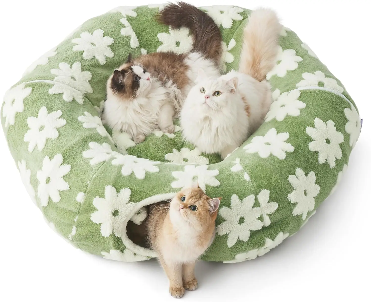 

Large Cat Tunnel Bed with Washable Cushion, Round Peekaboo Cave Toy for Indoor Cats and Small Pets