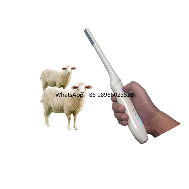 SY-AVN_vet Veterinary ultrasound probe BW Convex Portable Veterinary Sheep Dog Transrectal Scanner medical ultrasound machine