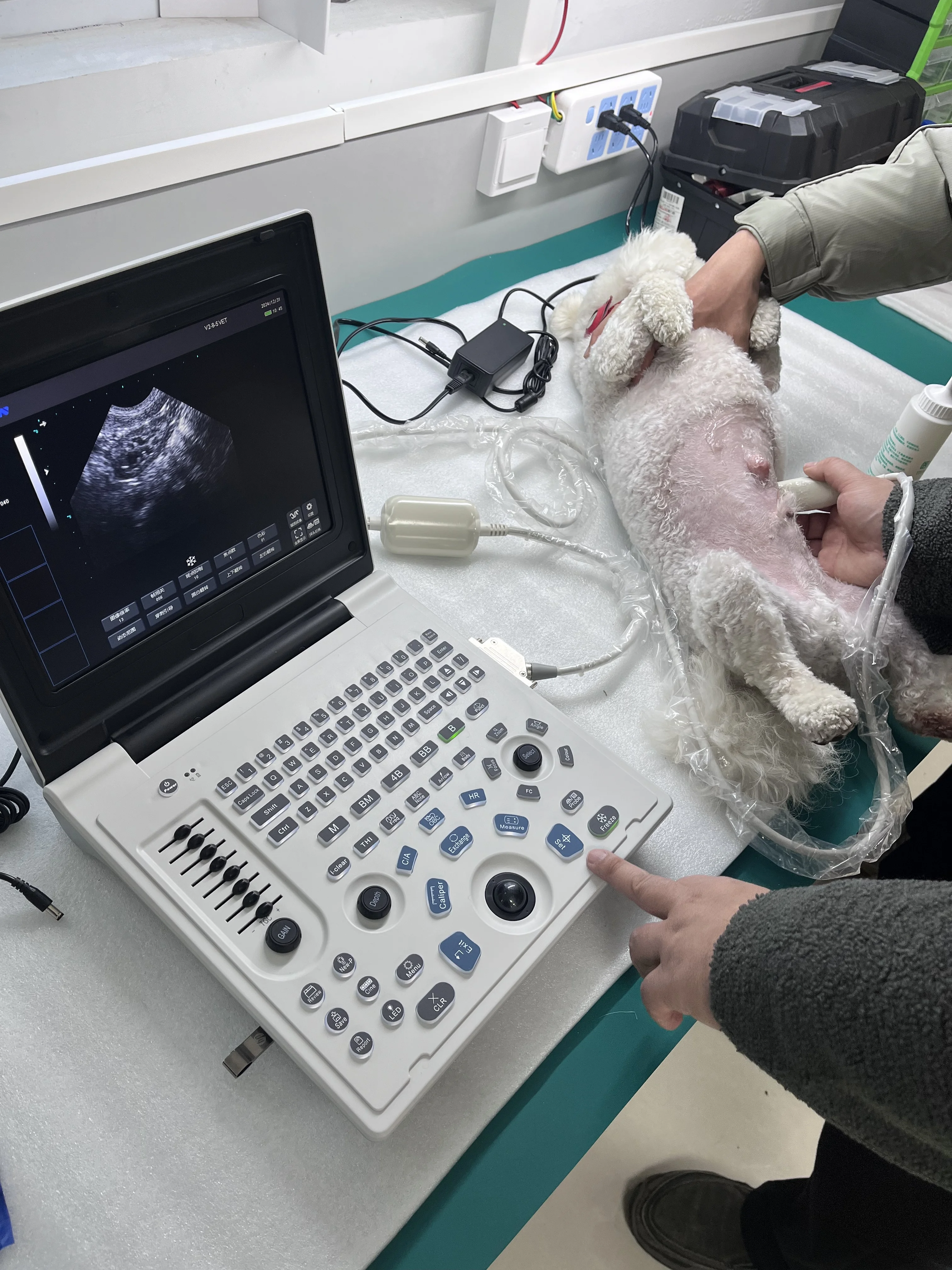 

Veterinary use Portable Black and White Laptop Ultrasound Scanner Machine Device for Animals pet use